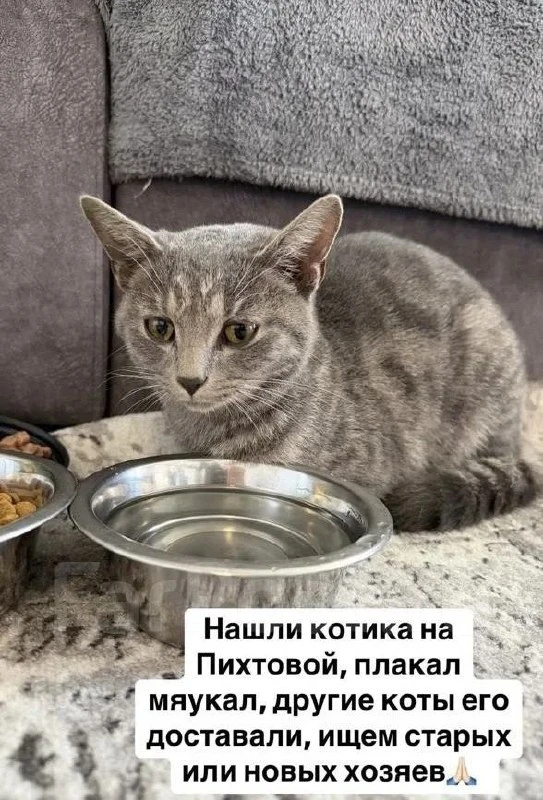 ВЛАДИВОСТОК.