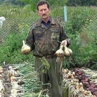 Огopoдные секреты. Лук