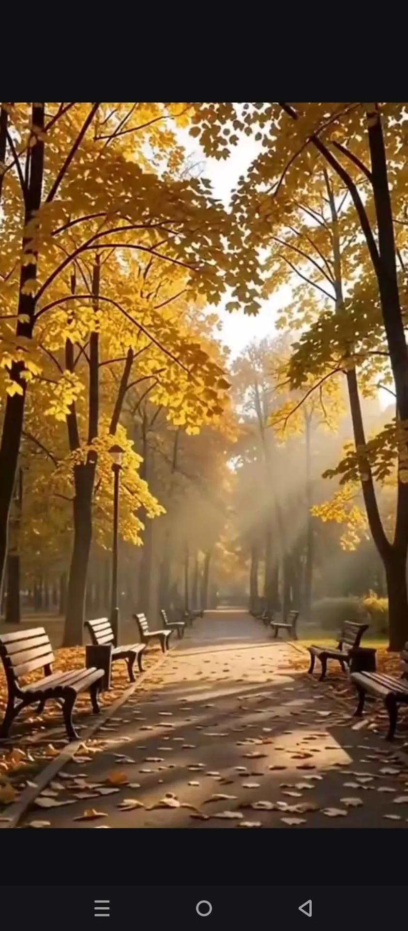 Солнце ☀️ ♥️