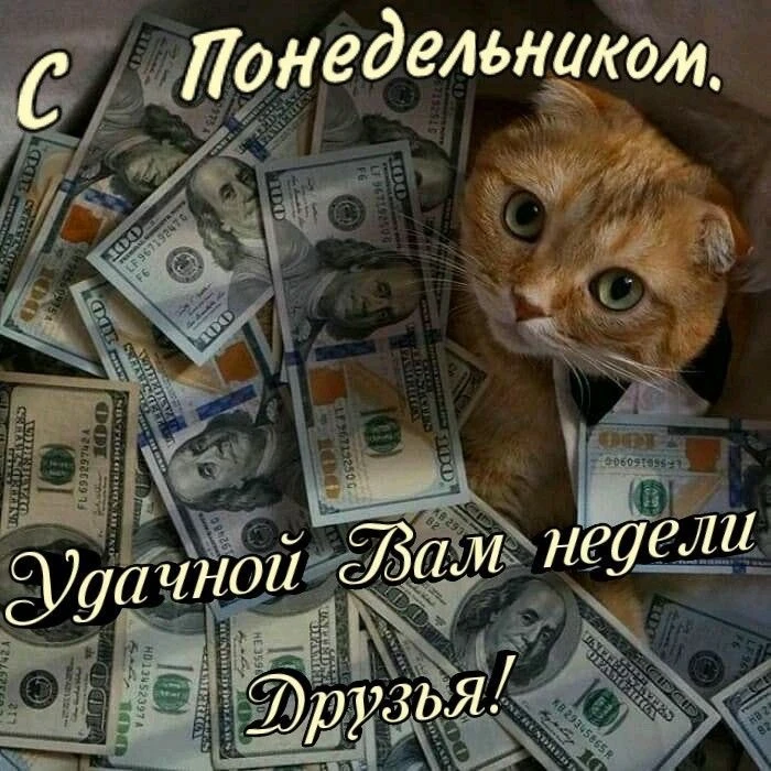 ☀️ #ДоброеУтро