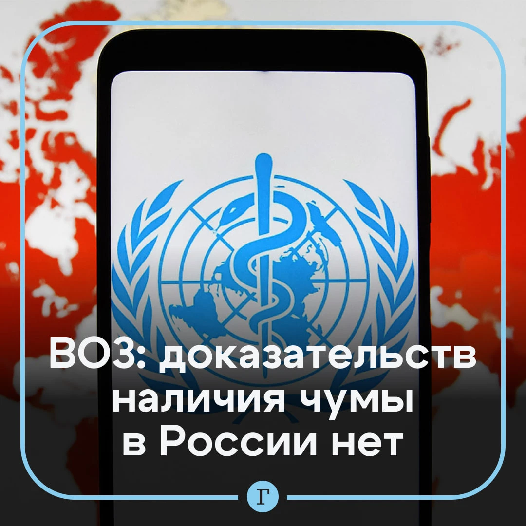 ВОЗ не выявила вспышку «чумы» в России.