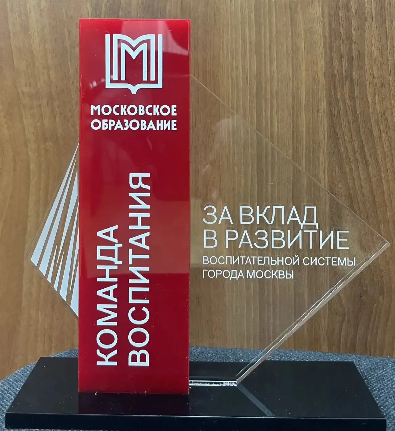 Школа отмечена наградой «За вклад в развитие воспитательной системы города»