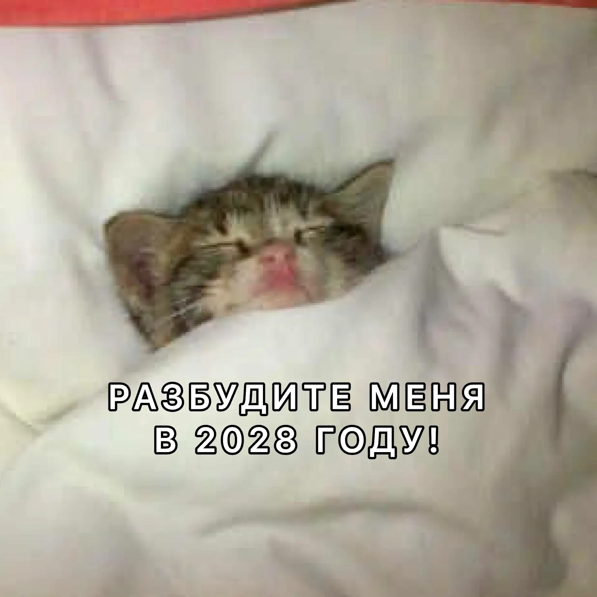 Зарплаты нижегородцев к 2028 году могут превысить 109 тысяч рублей