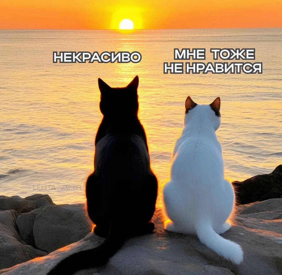🫢 Сегодня отмечается День ворчуна.