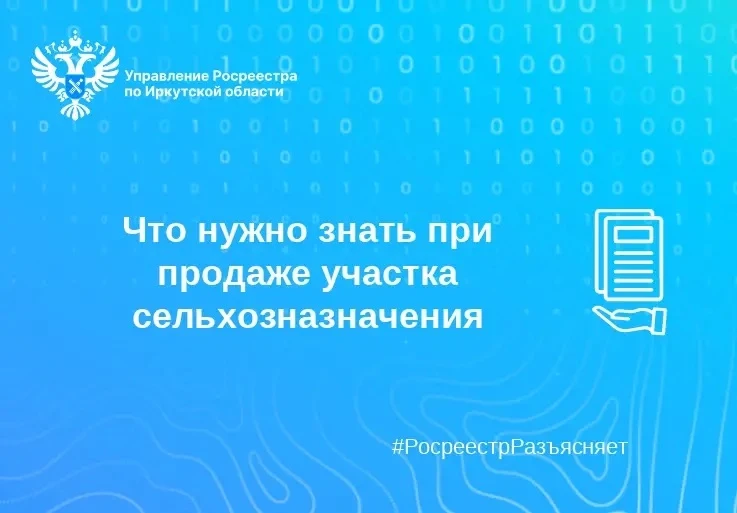 Что нужно знать при продаже участка сельхозназначения