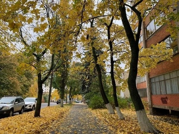 В Курской области 17 октября ожидается до +20 градусов