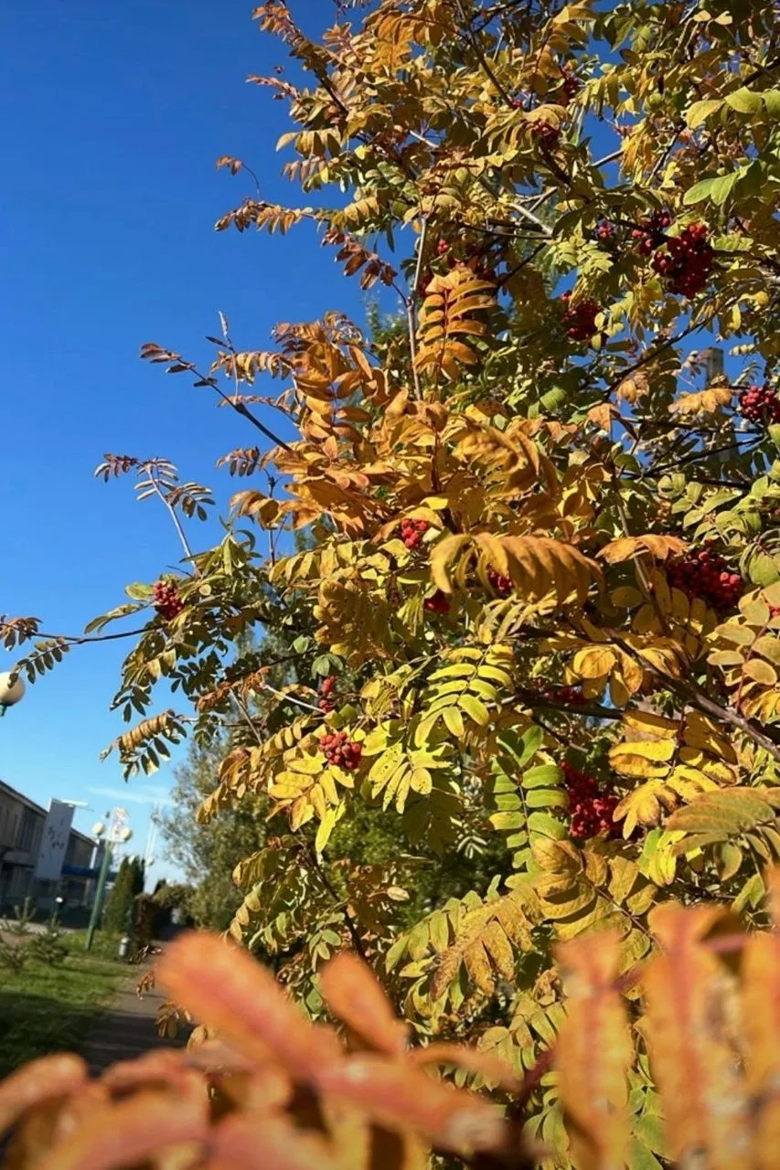 Гидрометцентр РТ прогнозирует тепло во второй декаде октября 🌡☀