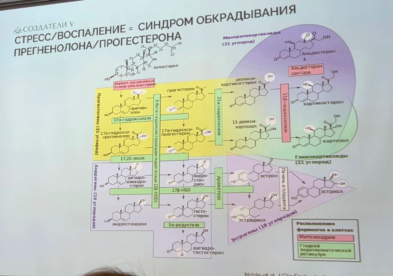 Третий доклад был от практикующего врача-эндокринолога Натальи Арбатской. Доктор говори...