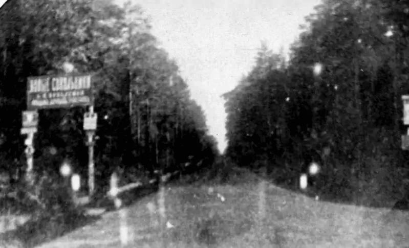 Ковалевское шоссе (ныне шоссе Ильича) в 1900-х гг.