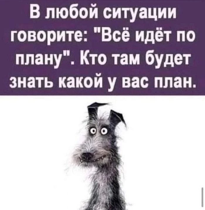 Совет дня😅😀
