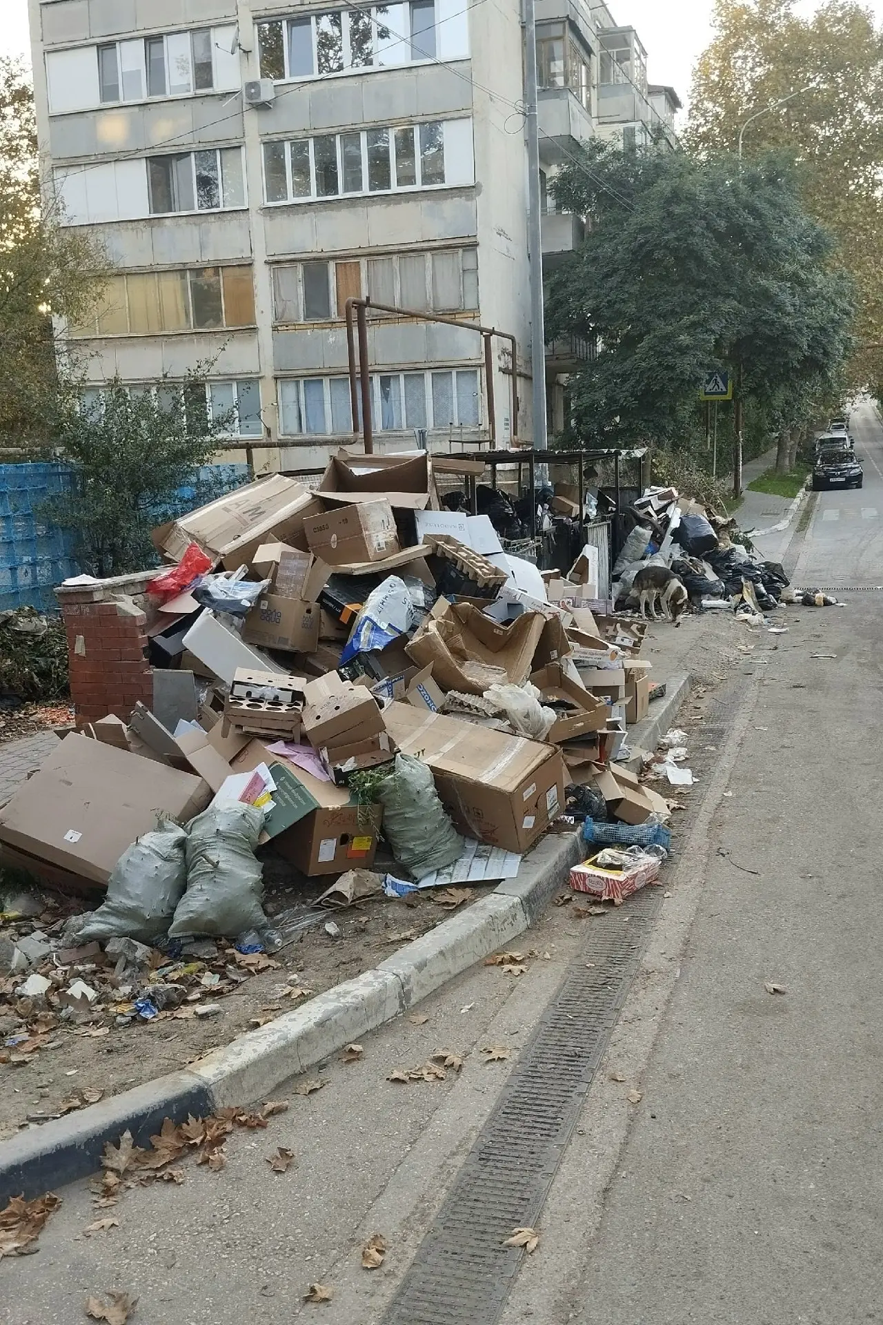 Снoвa свaлкa нa Серaфимoвичa 30, зa Лидepoм...
