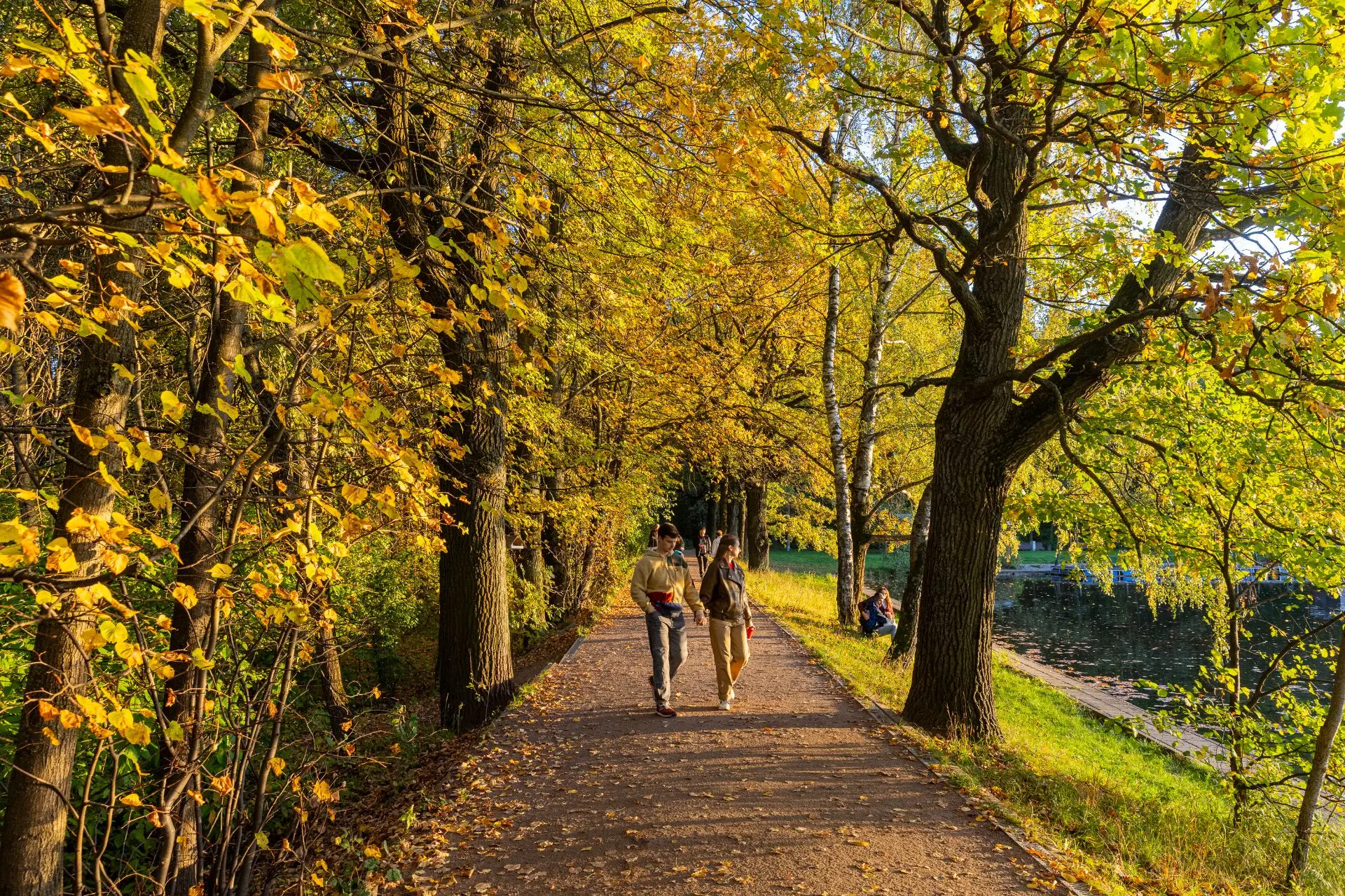 🍁 Сегодня празднуют День собирания осенних листьев!