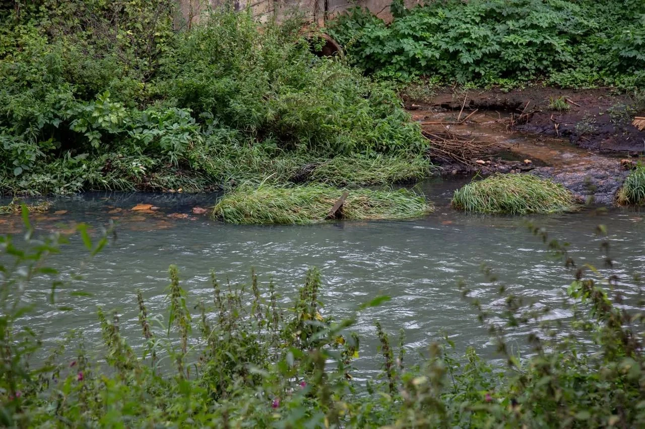 🌊 С водоканала Алексина взыскали 17,6 млн рублей за загрязнение реки Мышеги