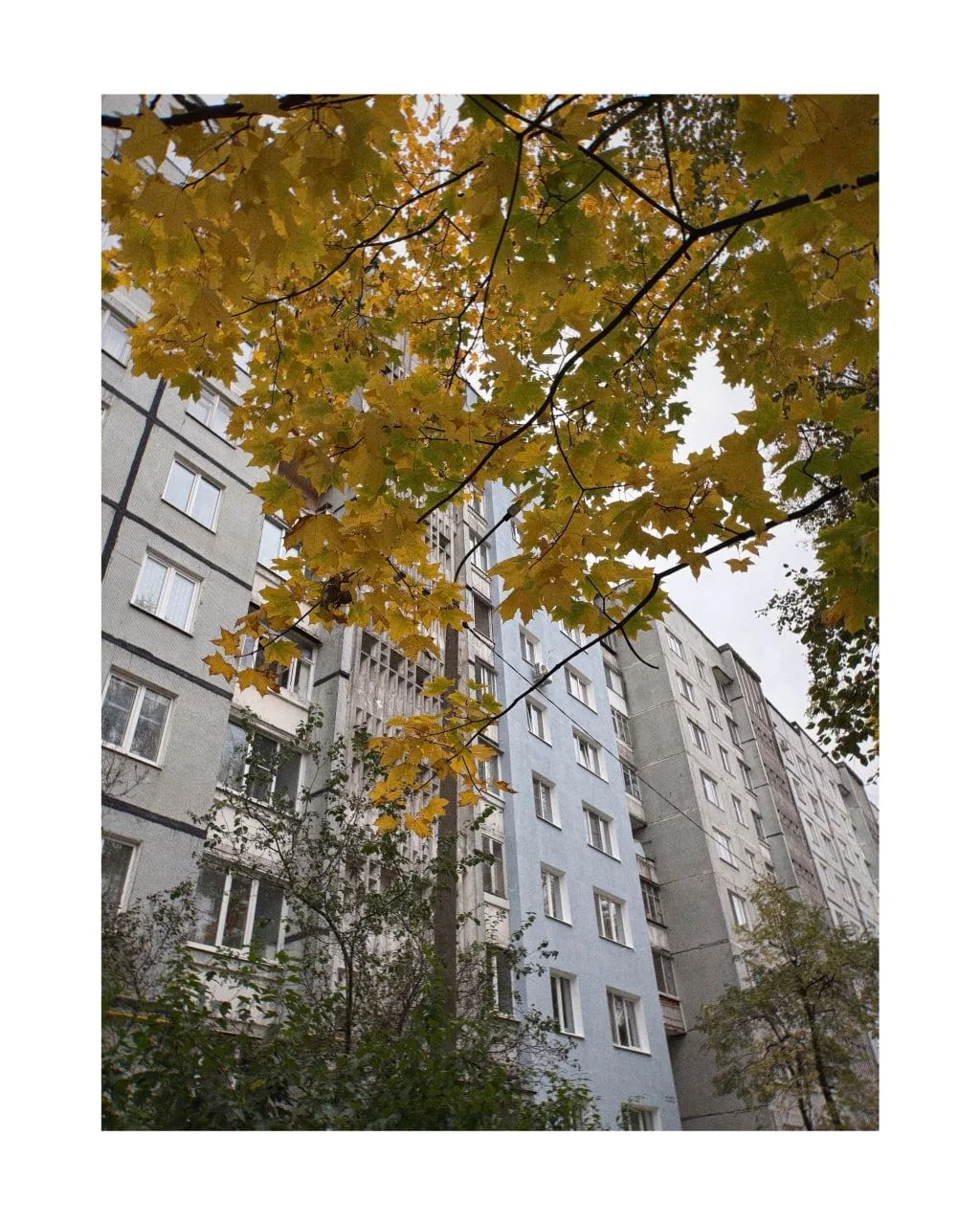 🍂✨Самая умиротворённая пора года