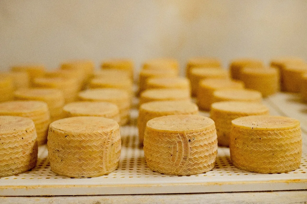 🧀 Экскурсия на Сырный завод "Верещагин" в г. Конаково с дегустацией сыров! 🧀