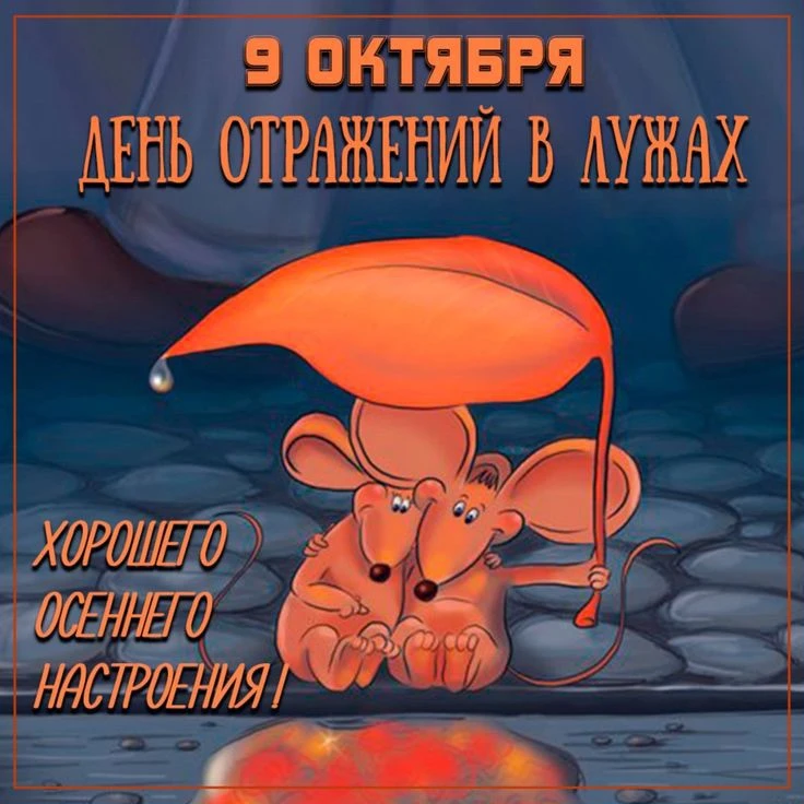 🎁Поздравления и открытки