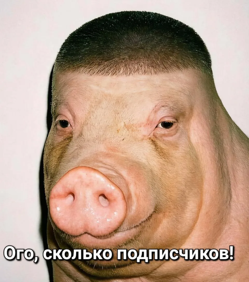 НУЖНЫ ПОДПИСЧИКИ В МАХ?👀