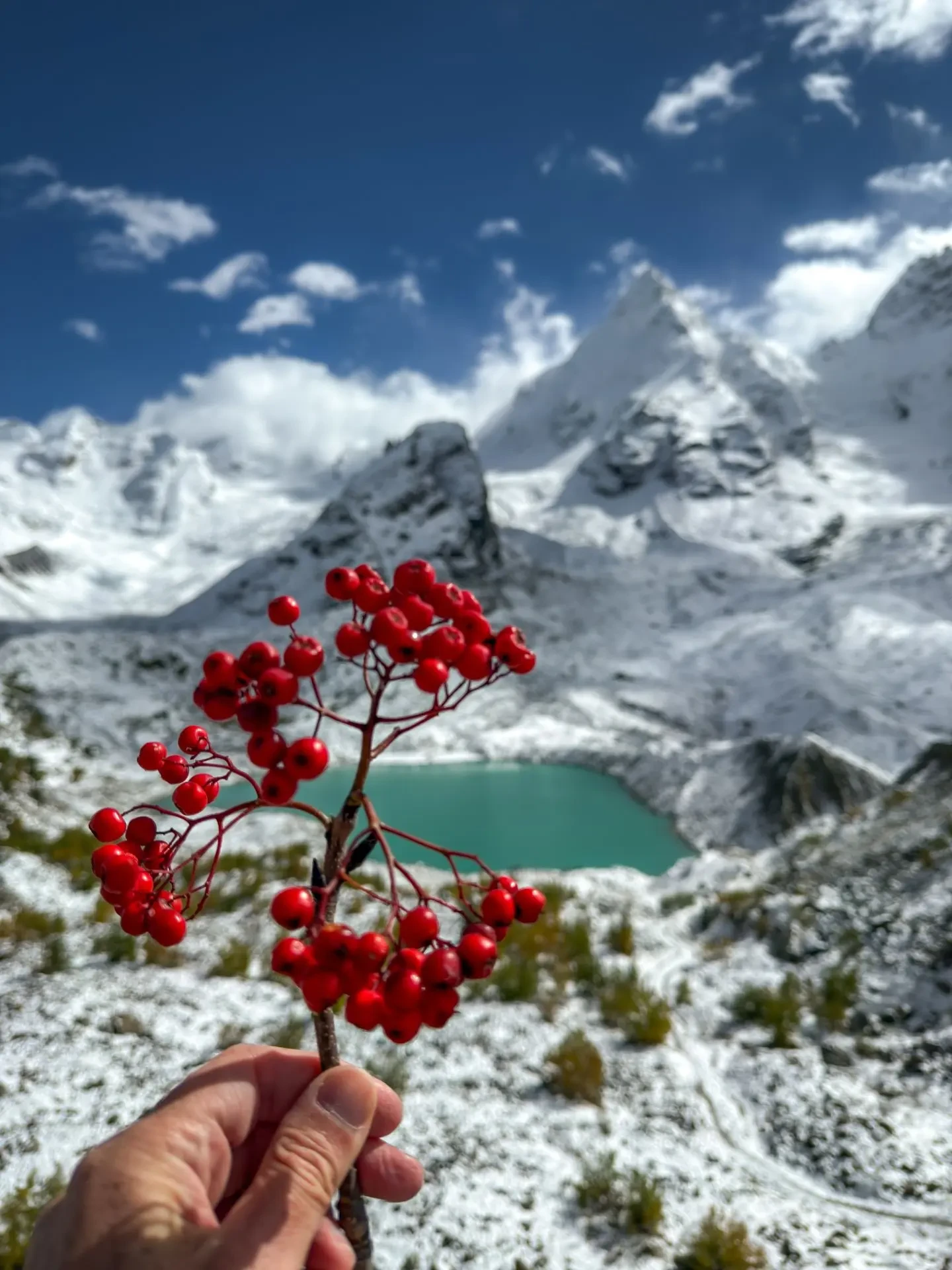 ❄️🔥 Лёд и пламя золотой осени в ущелье Адыл-су
