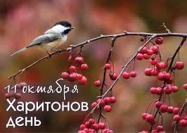 11 октября в народном календаре — Харитонов день, когда чтят память преподобного Харито...