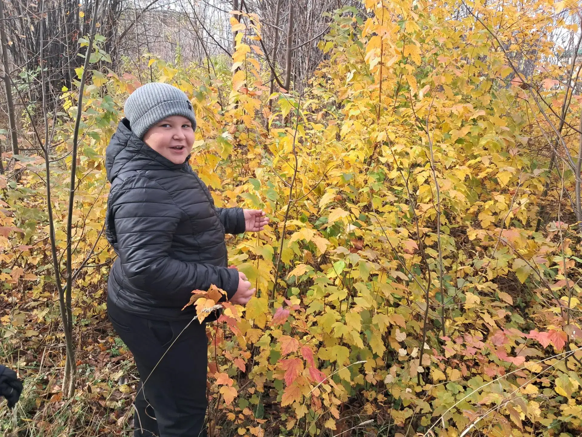 «ОРЛЁНОК — ЭКОЛОГ»: юные исследователи природы на осенней прогулке