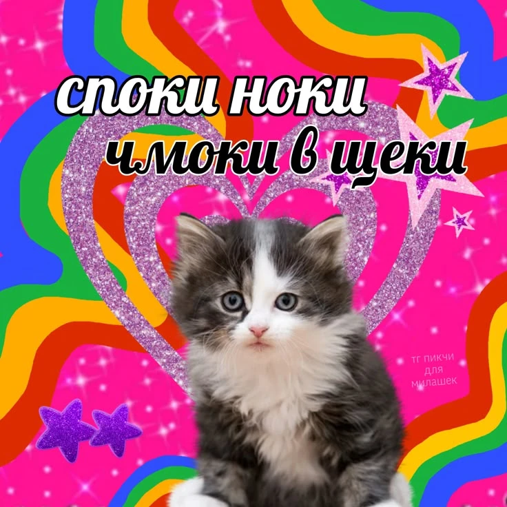 Добрых снов, товарищи котеки!❤