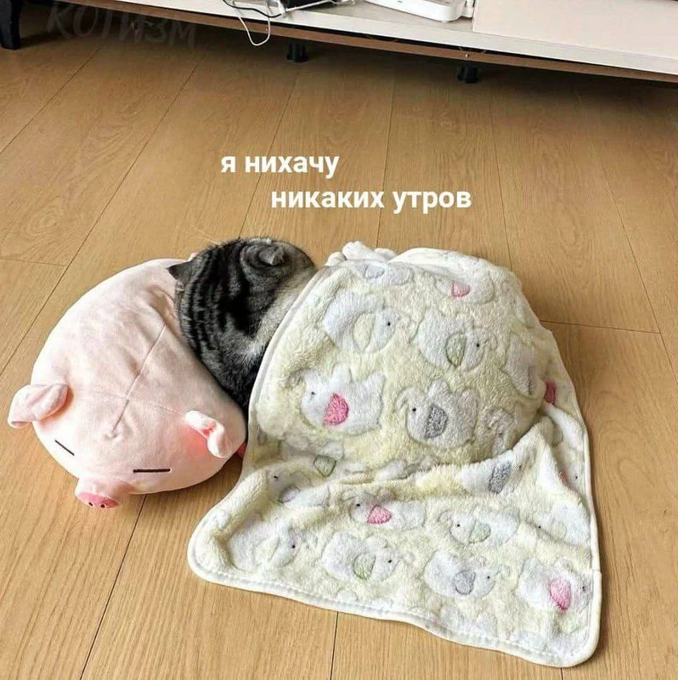 ☹️ Если сегодня вам тяжело встать с кровати, то мы вас понимаем.