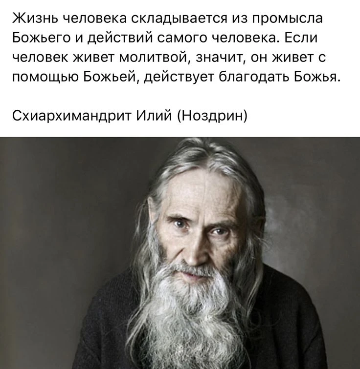 🌹🕊️🙏