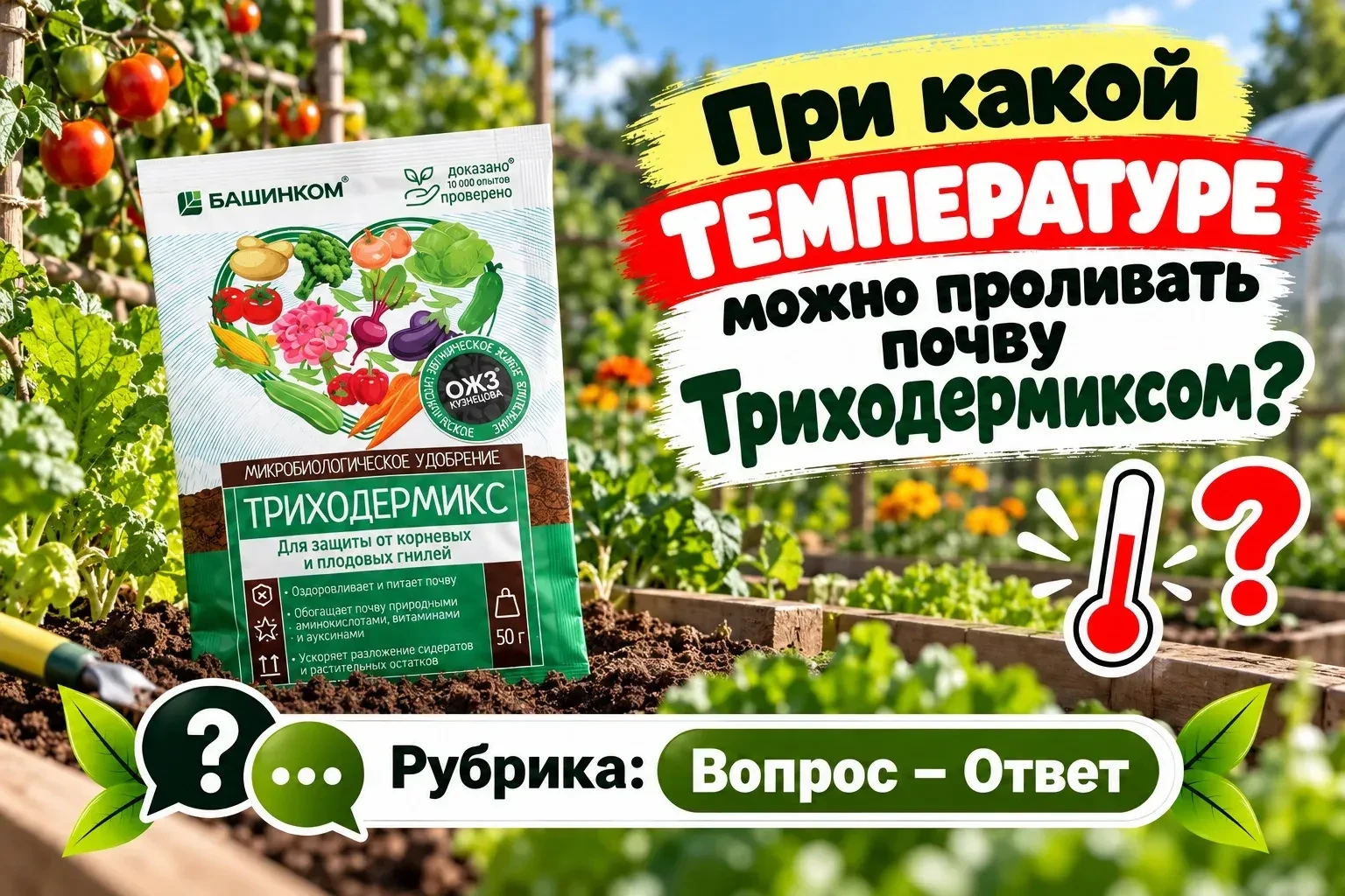 Рубрика вопрос - ответ