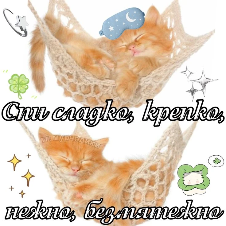Добрых снов, товарищи котеки!❤