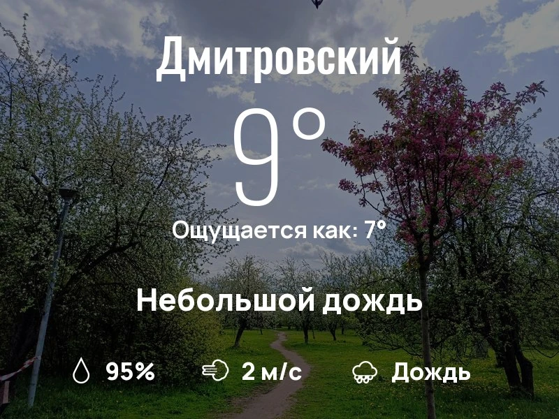 Что с погодой в Дмитровском?