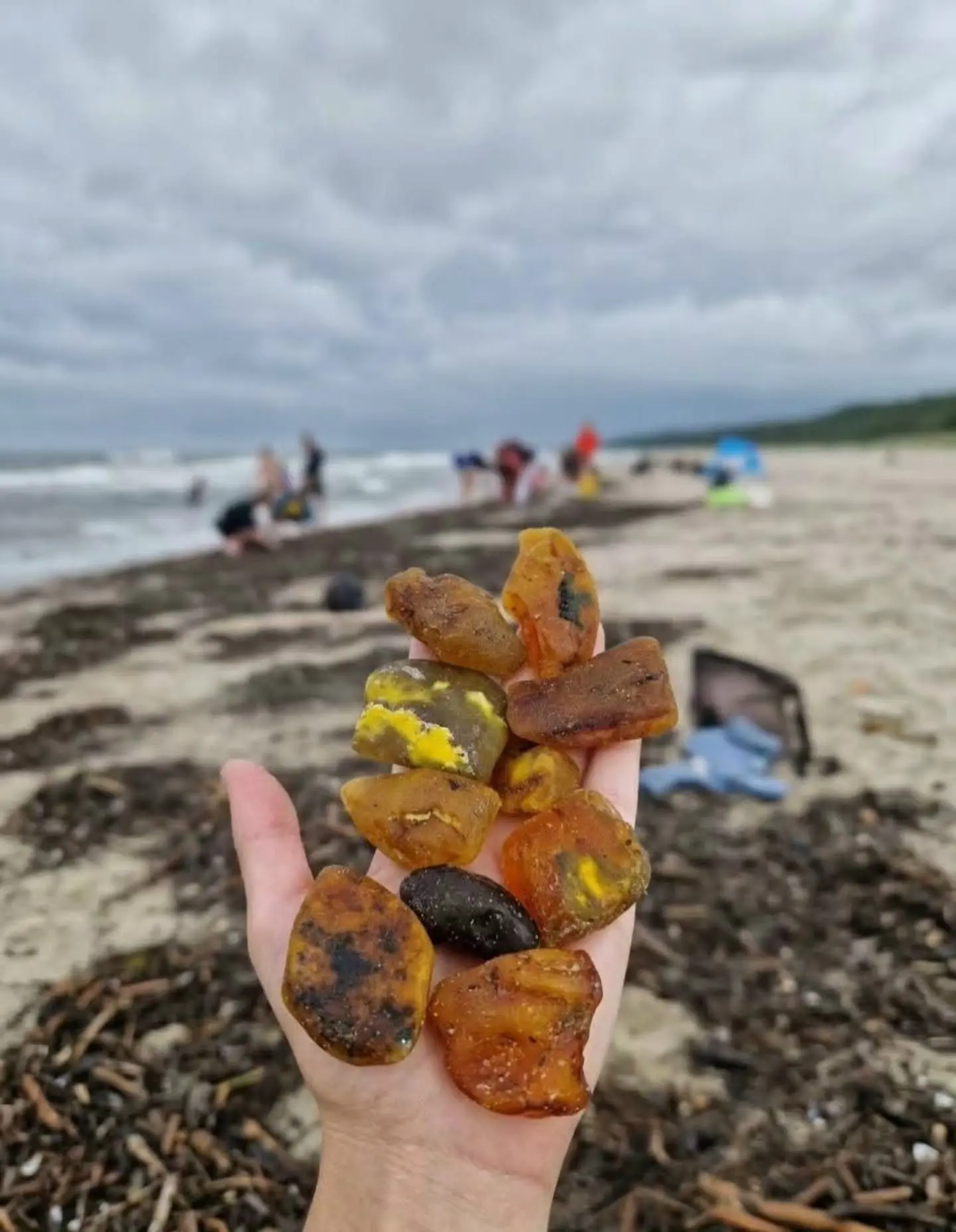 Находки после шторма, которые удивляют 🤯🌊