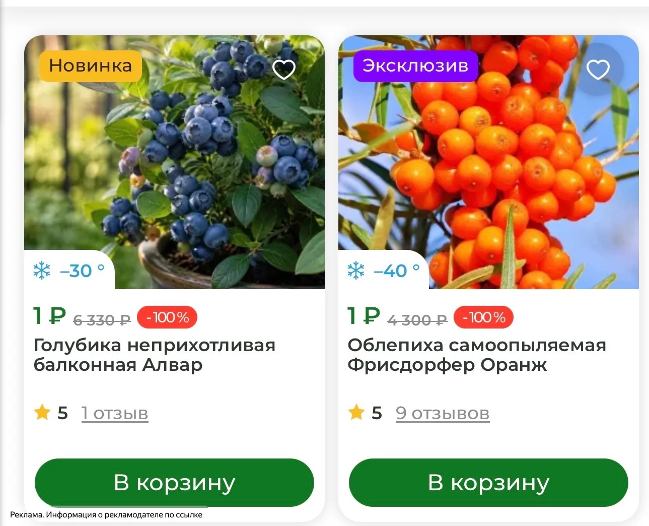 Саженцы по 1₽ в ГАРДЕНМАРТ🍇