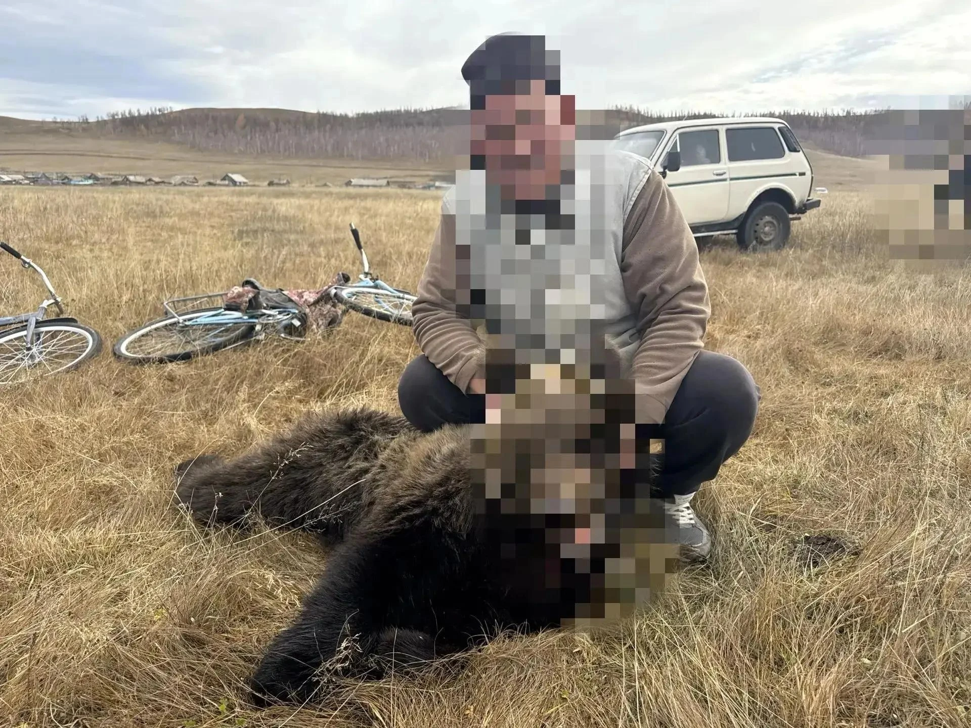 В Еравнинском районе Бурятии застрелили медведя, вышедшего к селу Поперечное