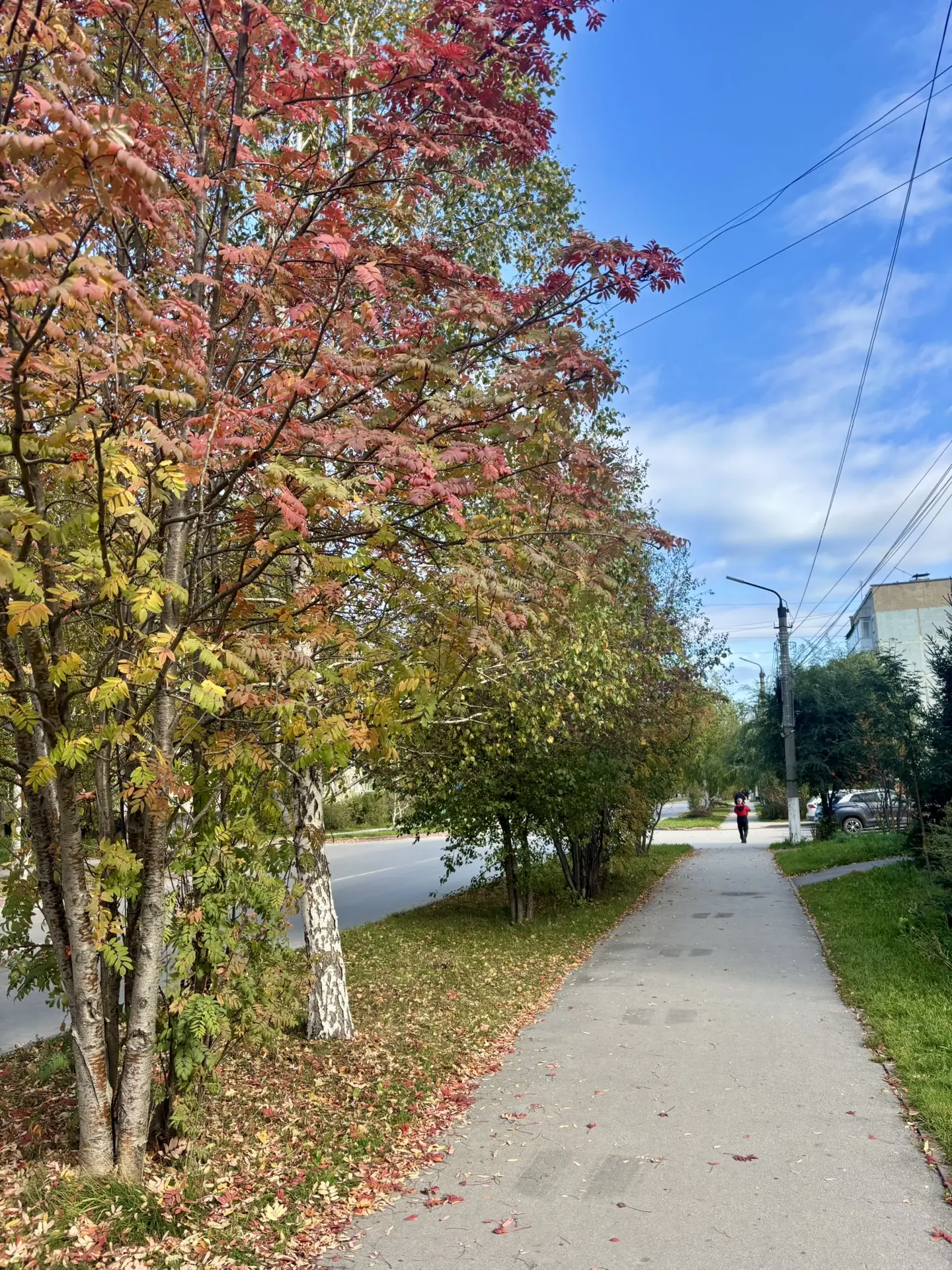 Доброе утро, уважаемые подписчики! Хорошего начала рабочей недели! 🍂