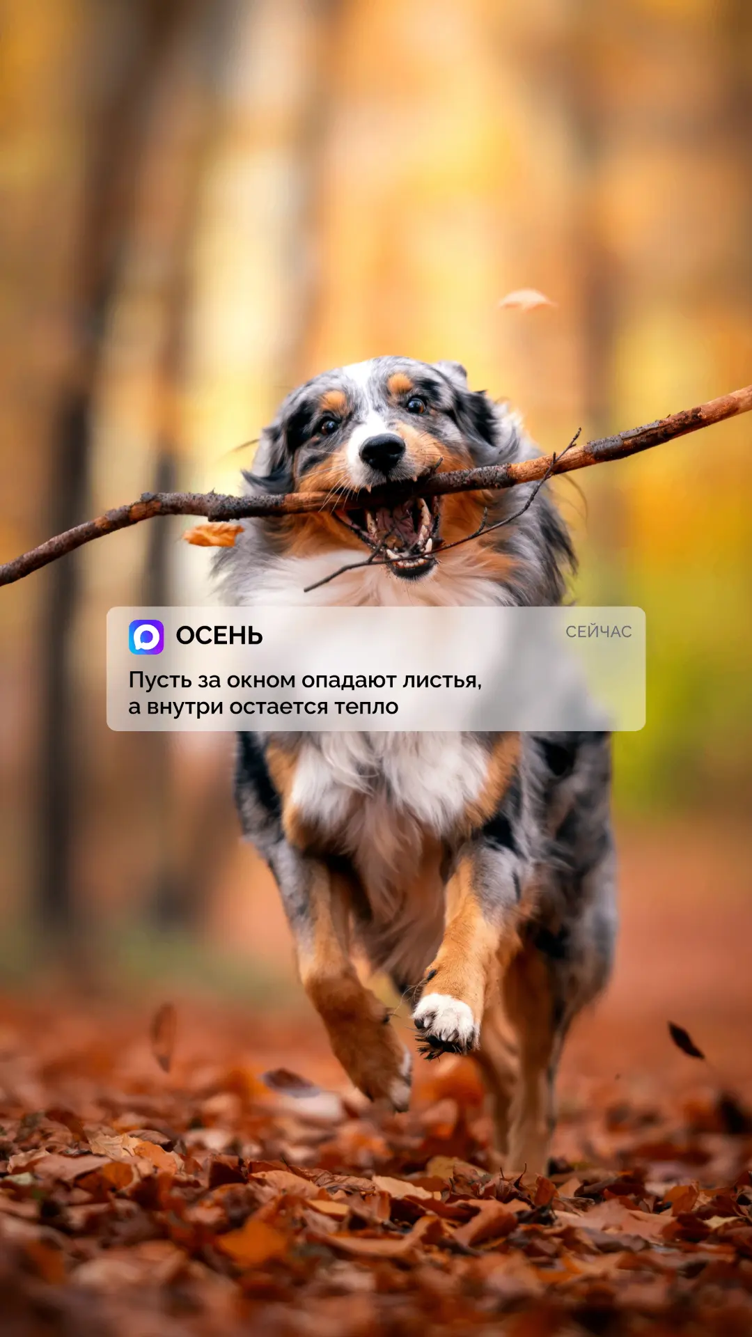 Подготовили обложки для ваших телефонов ❤️