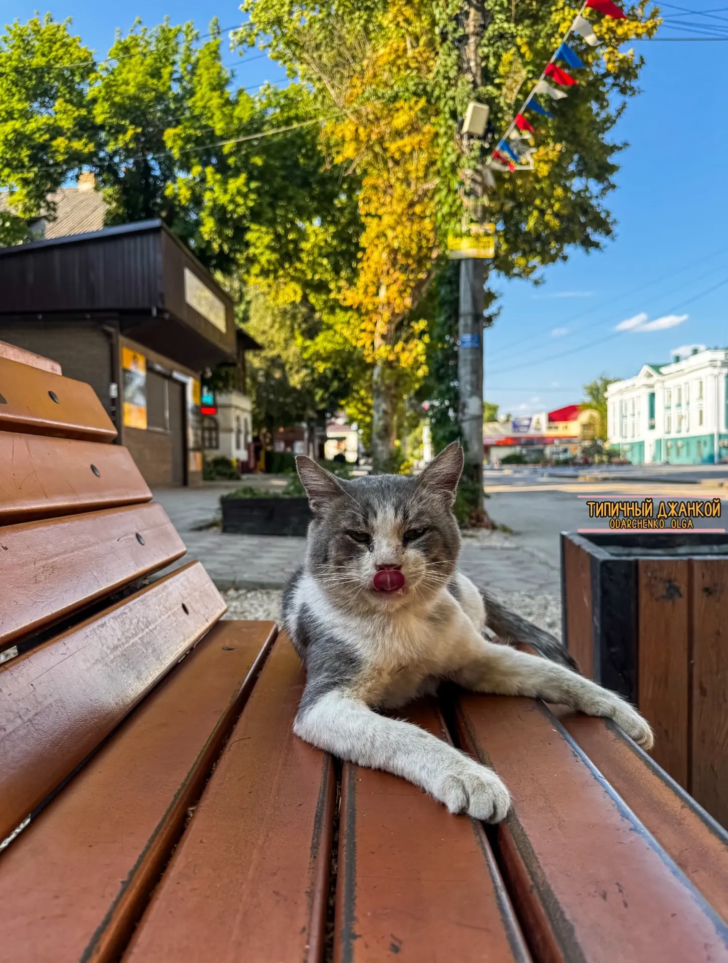 Доброе утро, Джанкой! 🐈
