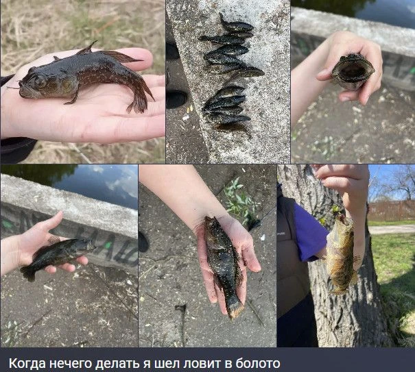 Кто поступал также ?