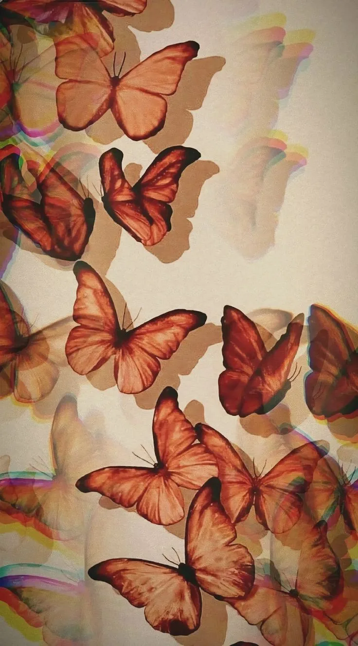 🦋 Сегодня вот такая красота