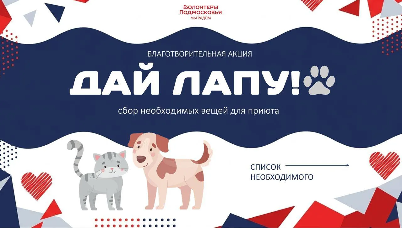 Водников Подмосковья объявили предлагают принятие участие в благотворительной акции