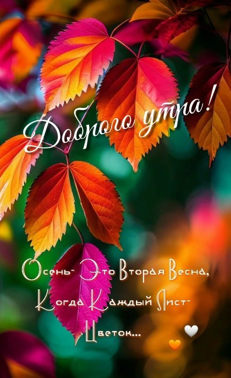 Доброе утро! Если представить, что каждый опавший лист – это цветок, то на работу вы по...