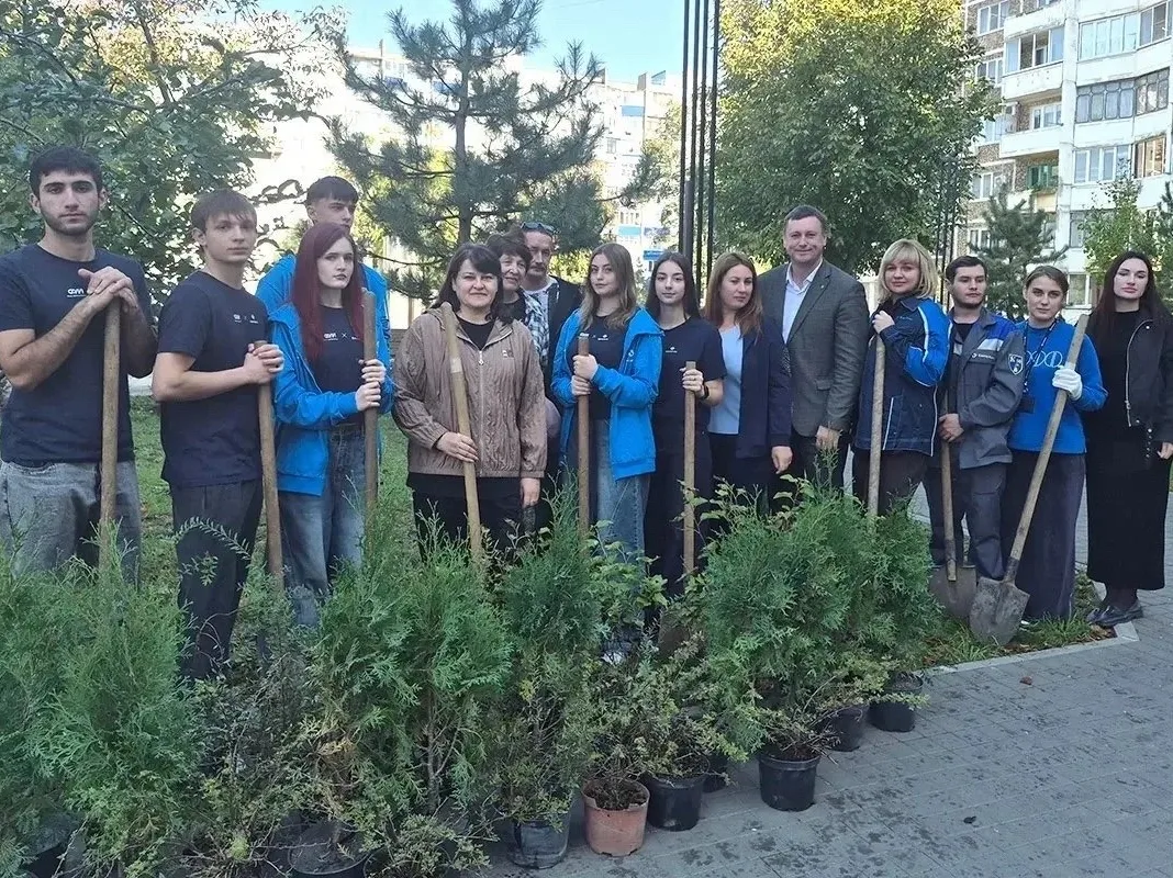 В Белореченске высадили деревья в сквере Молодёжном