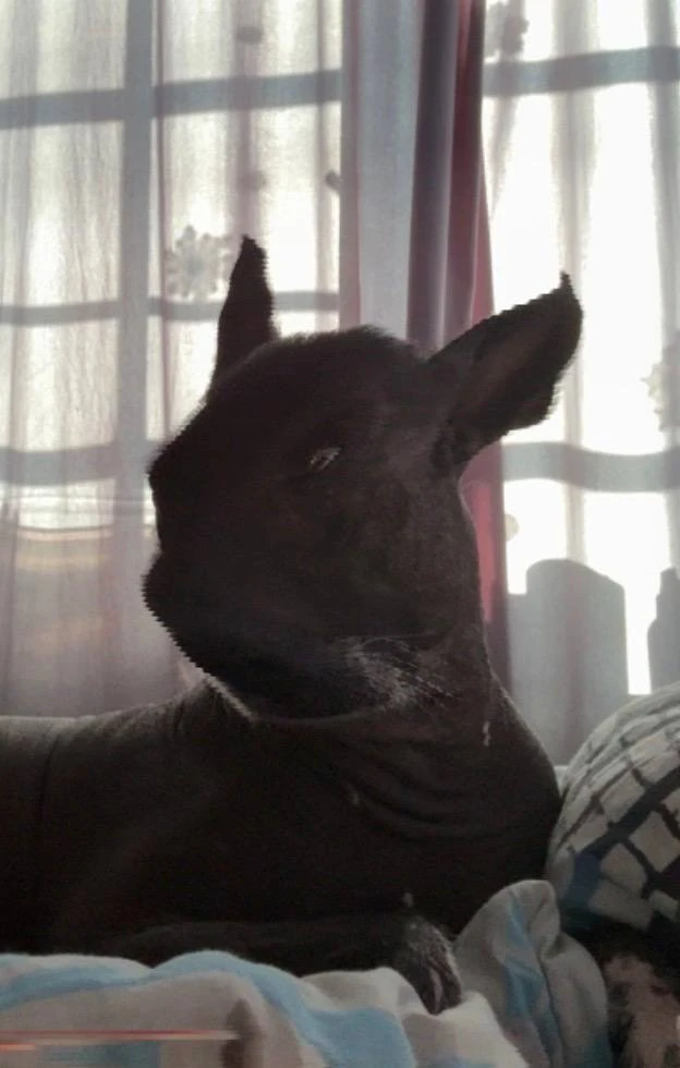 Что это со мной😂?