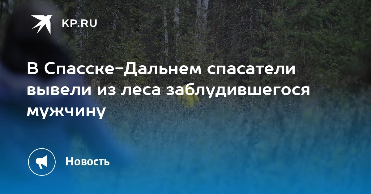 Спасатели МЧС нашли заблудившегося мужчину в лесу под Спасском-Дальним. Он пропал в рай...