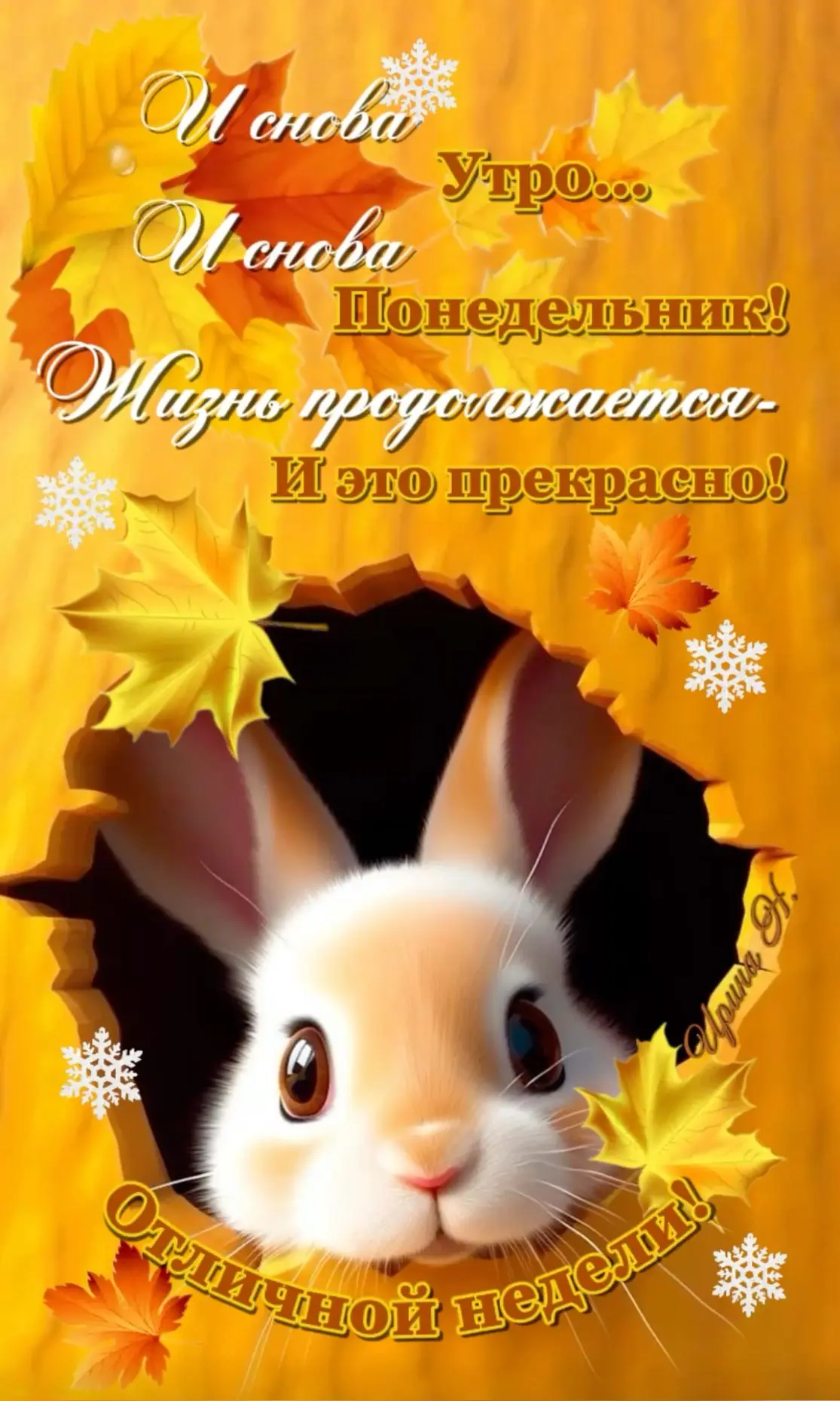Доброе утро!🧡