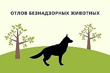 29 октября, 5 ноября и 17 декабря 2026 года планируется выезд ловцов для отлова безнадз...