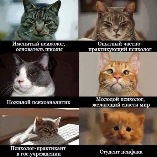 😂 Юмор выходного дня