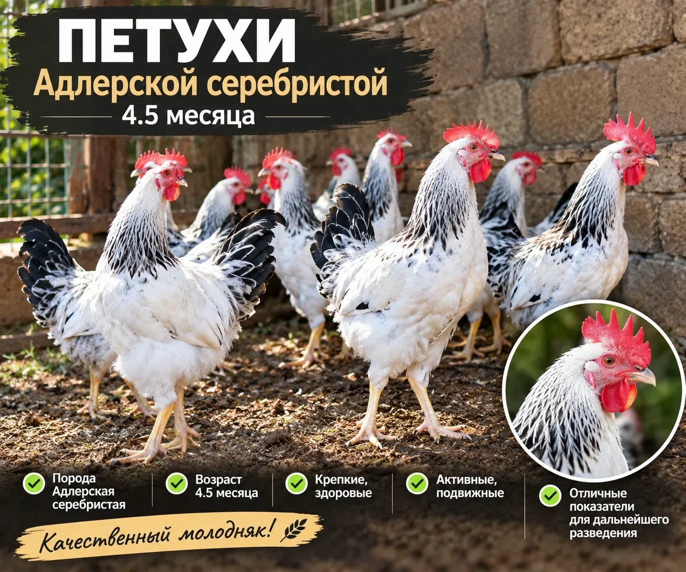 Продам,цена 700 р