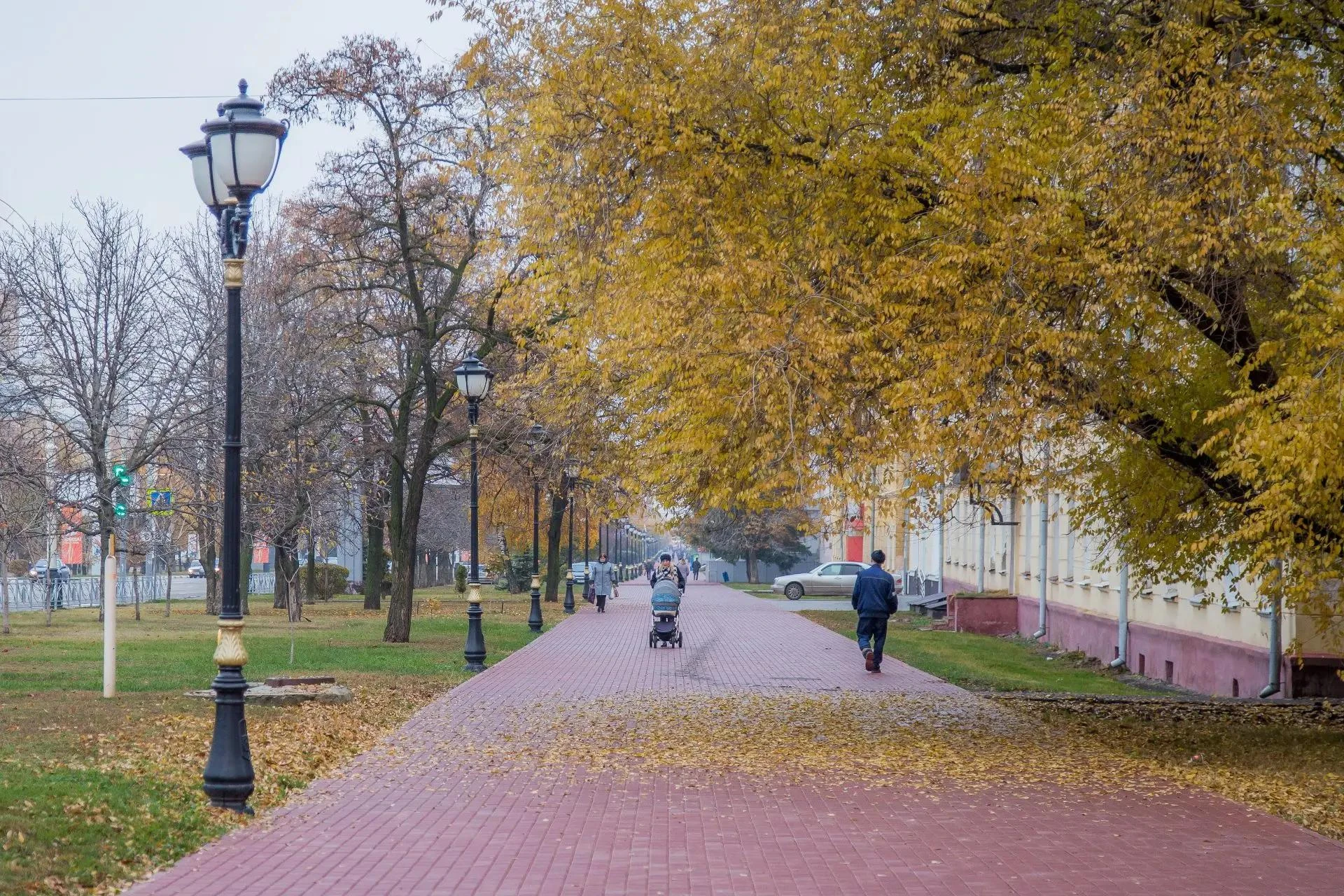 В Тамбове продолжается тёплая осень — по данным тамбовского гидрометцентра, начало втор...