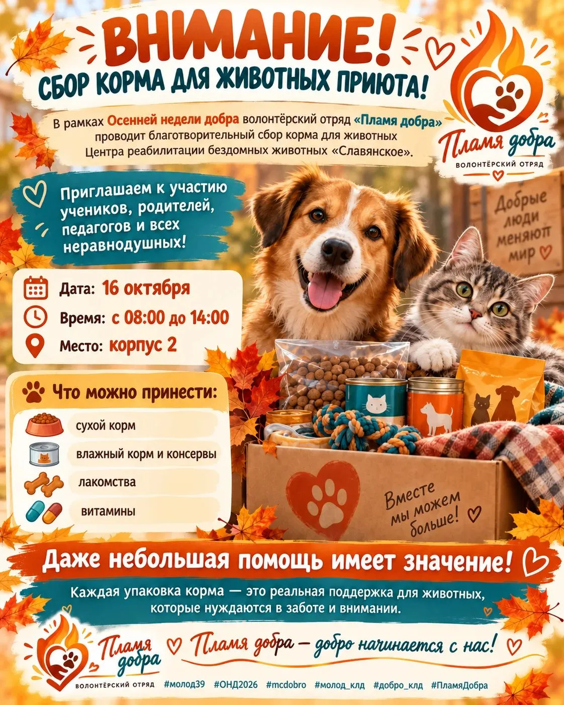 🐾 Поможем тем, кто не может попросить о помощи сам!