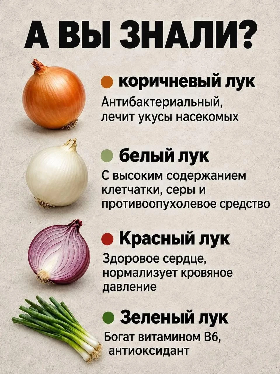 Полезная информация про лук! 🧅